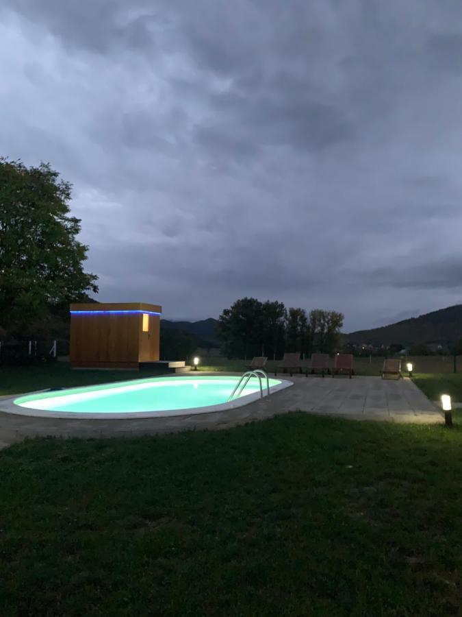 Holiday home V's Place - Wooden House With Heated Pool And Outdoor Sauna Otocac
